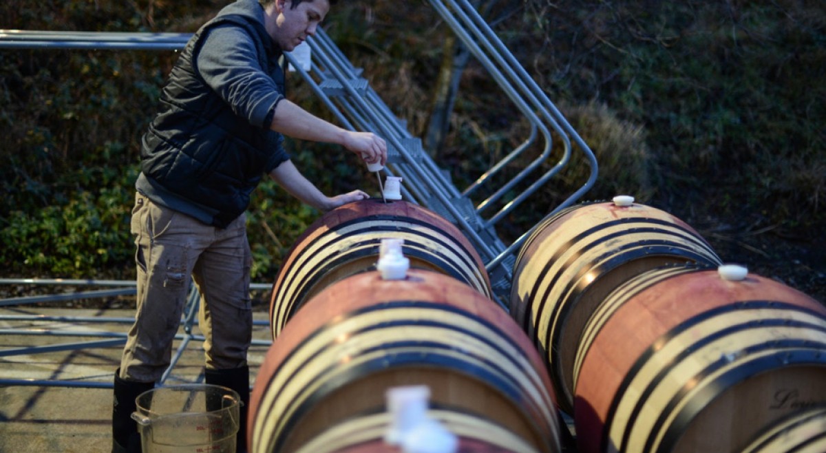 UBC Wine Tech