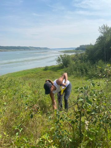 Korintez gained an appreciation for the back-breaking work of tree planting when she joined a crew in Millet, Alberta. 